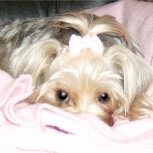 Meet your Posher, Jaeden